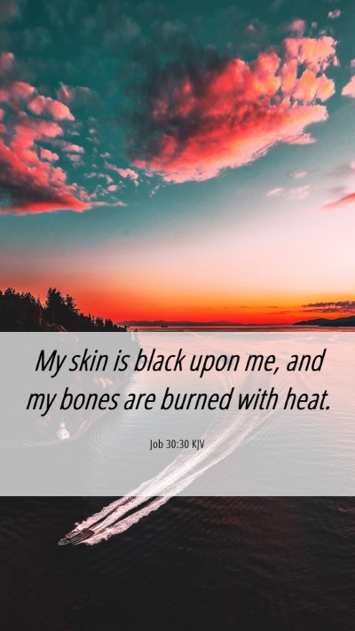 Picture 06 - Job 30:30 KJV Mobile Phone Wallpaper - My skin is black upon me, and my bones are burned - Mobile Bible Verse Wallpaper