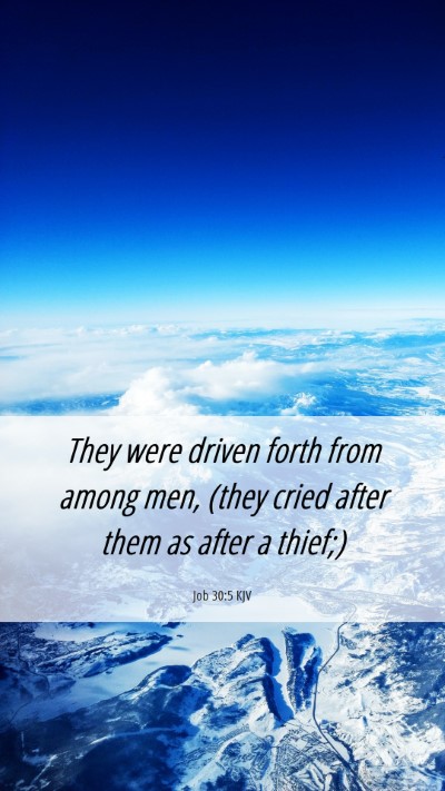 Picture 06 - Job 30:5 KJV Mobile Phone Wallpaper - They were driven forth from among men, (they - Mobile Bible Verse Wallpaper