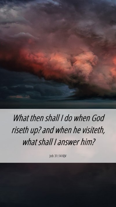Picture 06 - Job 31:14 KJV Mobile Phone Wallpaper - What then shall I do when God riseth up? and when - Mobile Bible Verse Wallpaper