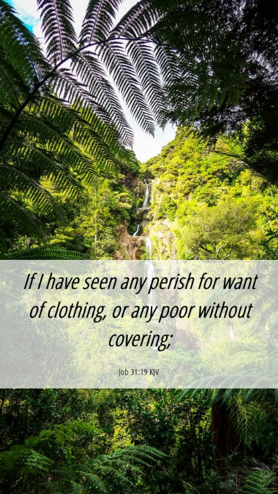 Picture 06 - Job 31:19 KJV Mobile Phone Wallpaper - If I have seen any perish for want of clothing, - Mobile Bible Verse Wallpaper