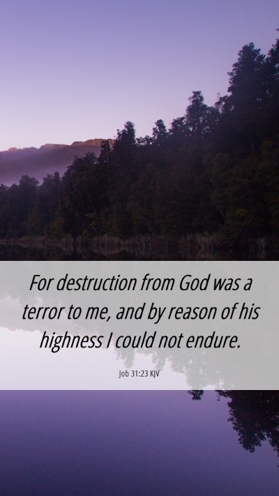 Picture 06 - Job 31:23 KJV Mobile Phone Wallpaper - For destruction from God was a terror to me, and - Mobile Bible Verse Wallpaper