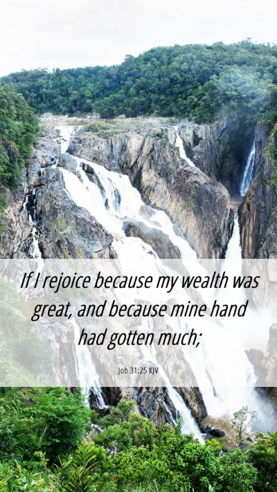 Picture 06 - Job 31:25 KJV Mobile Phone Wallpaper - If I rejoice because my wealth was great, and - Mobile Bible Verse Wallpaper