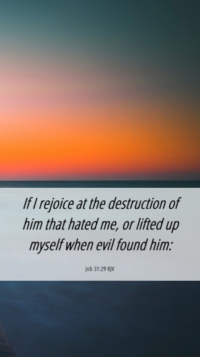 Picture 06 - Job 31:29 KJV Mobile Phone Wallpaper - If I rejoice at the destruction of him that hated - Mobile Bible Verse Wallpaper