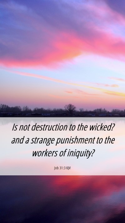 Picture 06 - Job 31:3 KJV Mobile Phone Wallpaper - Is not destruction to the wicked? and a strange - Mobile Bible Verse Wallpaper