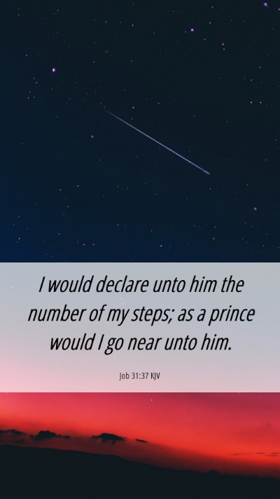 Picture 06 - Job 31:37 KJV Mobile Phone Wallpaper - I would declare unto him the number of my steps; - Mobile Bible Verse Wallpaper