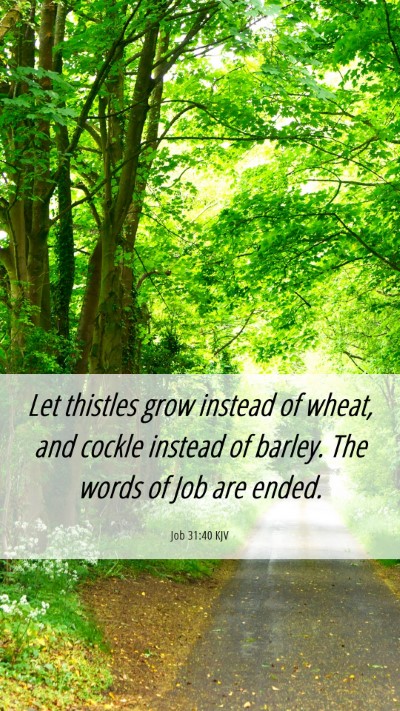 Picture 06 - Job 31:40 KJV Mobile Phone Wallpaper - Let thistles grow instead of wheat, and cockle - Mobile Bible Verse Wallpaper