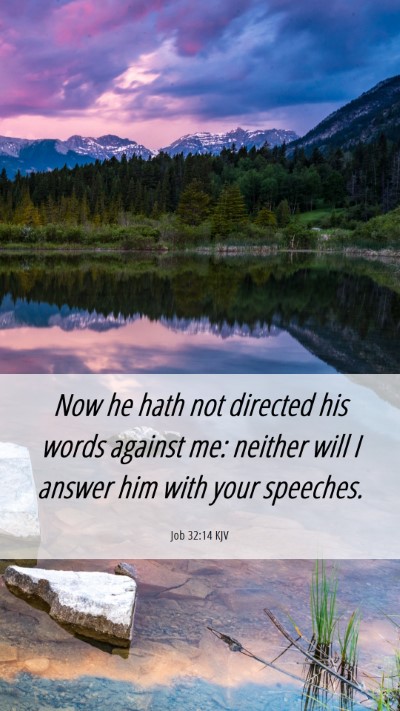 Picture 06 - Job 32:14 KJV Mobile Phone Wallpaper - Now he hath not directed his words against me: - Mobile Bible Verse Wallpaper