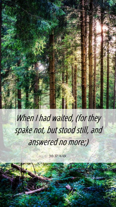 Picture 06 - Job 32:16 KJV Mobile Phone Wallpaper - When I had waited, (for they spake not, but stood - Mobile Bible Verse Wallpaper