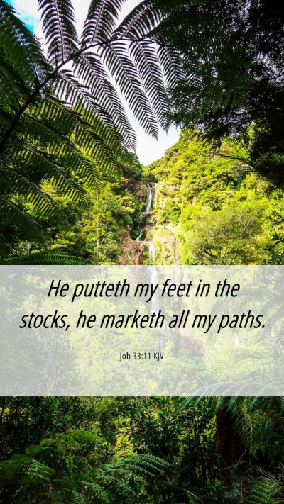 Picture 06 - Job 33:11 KJV Mobile Phone Wallpaper - He putteth my feet in the stocks, he marketh all - Mobile Bible Verse Wallpaper