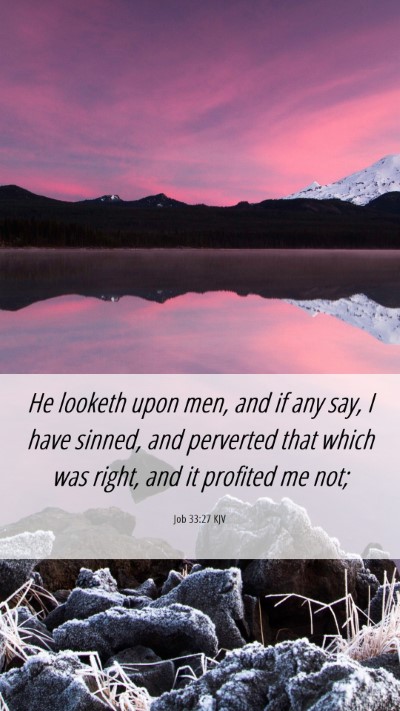Picture 06 - Job 33:27 KJV Mobile Phone Wallpaper - He looketh upon men, and if any say, I have - Mobile Bible Verse Wallpaper