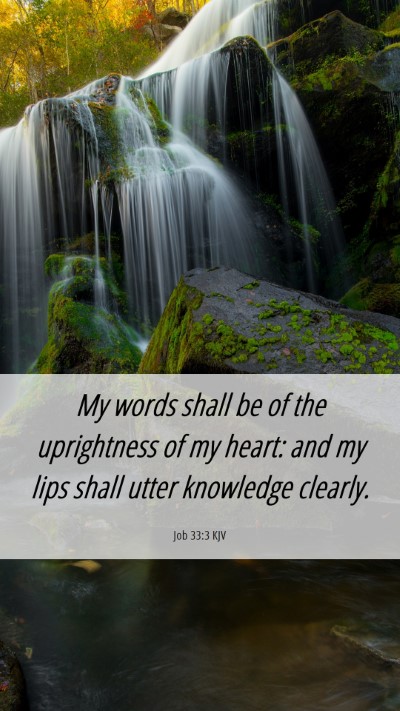 Picture 06 - Job 33:3 KJV Mobile Phone Wallpaper - My words shall be of the uprightness of my heart: - Mobile Bible Verse Wallpaper