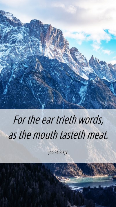 Picture 06 - Job 34:3 KJV Mobile Phone Wallpaper - For the ear trieth words, as the mouth tasteth - Mobile Bible Verse Wallpaper