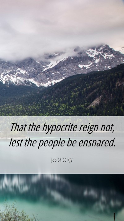 Picture 06 - Job 34:30 KJV Mobile Phone Wallpaper - That the hypocrite reign not, lest the people be - Mobile Bible Verse Wallpaper