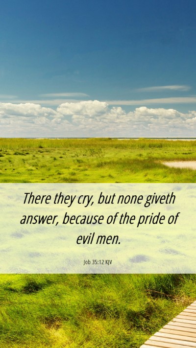 Picture 06 - Job 35:12 KJV Mobile Phone Wallpaper - There they cry, but none giveth answer, because - Mobile Bible Verse Wallpaper