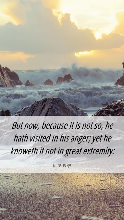 Picture 06 - Job 35:15 KJV Mobile Phone Wallpaper - But now, because it is not so, he hath visited in - Mobile Bible Verse Wallpaper