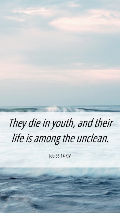 Picture 06 - Job 36:14 KJV Mobile Phone Wallpaper - They die in youth, and their life is among the - Mobile Bible Verse Wallpaper