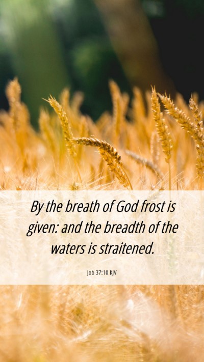 Picture 06 - Job 37:10 KJV Mobile Phone Wallpaper - By the breath of God frost is given: and the - Mobile Bible Verse Wallpaper