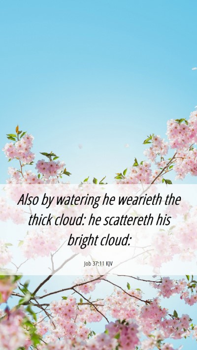 Picture 06 - Job 37:11 KJV Mobile Phone Wallpaper - Also by watering he wearieth the thick cloud: he - Mobile Bible Verse Wallpaper