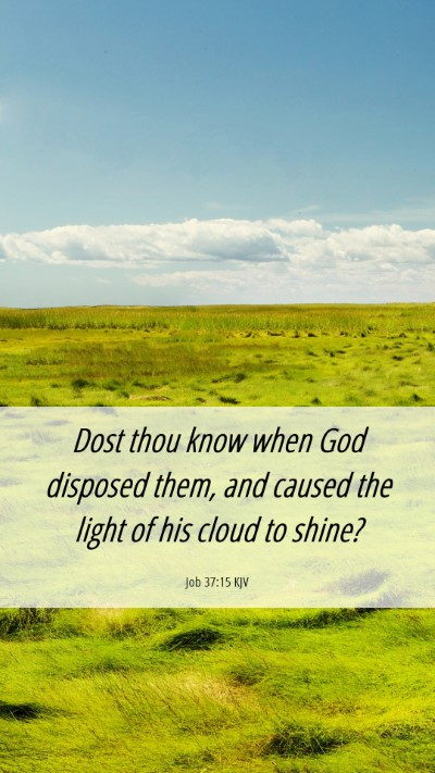 Picture 06 - Job 37:15 KJV Mobile Phone Wallpaper - Dost thou know when God disposed them, and caused - Mobile Bible Verse Wallpaper