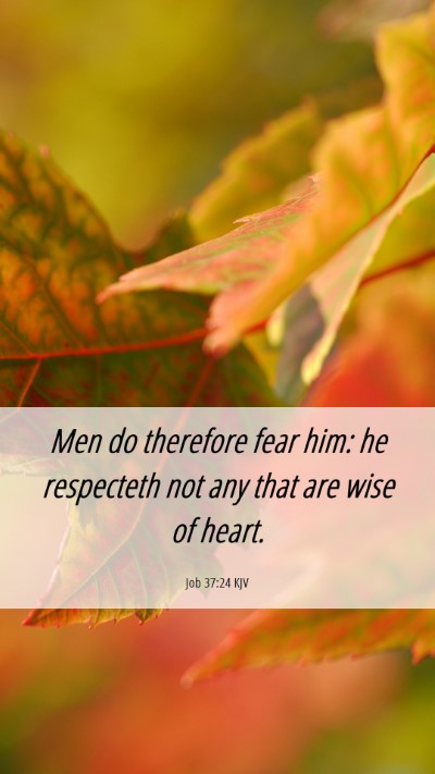 Picture 06 - Job 37:24 KJV Mobile Phone Wallpaper - Men do therefore fear him: he respecteth not any - Mobile Bible Verse Wallpaper