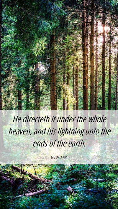 Picture 06 - Job 37:3 KJV Mobile Phone Wallpaper - He directeth it under the whole heaven, and his - Mobile Bible Verse Wallpaper