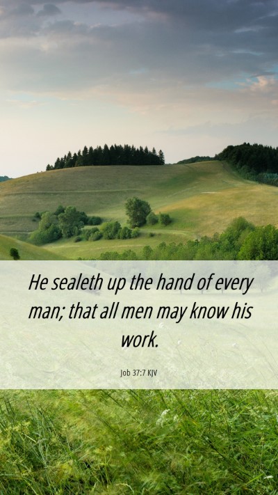 Picture 06 - Job 37:7 KJV Mobile Phone Wallpaper - He sealeth up the hand of every man; that all men - Mobile Bible Verse Wallpaper