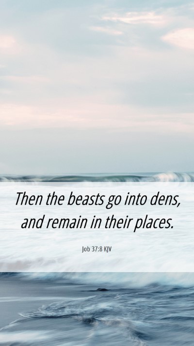Picture 06 - Job 37:8 KJV Mobile Phone Wallpaper - Then the beasts go into dens, and remain in their - Mobile Bible Verse Wallpaper