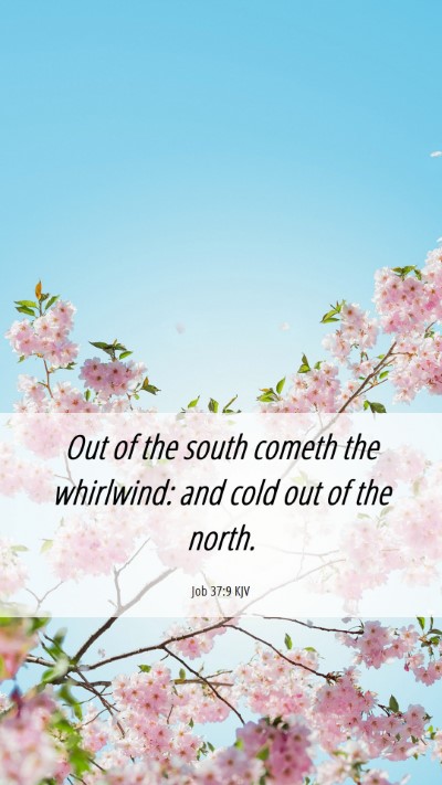 Picture 06 - Job 37:9 KJV Mobile Phone Wallpaper - Out of the south cometh the whirlwind: and cold - Mobile Bible Verse Wallpaper
