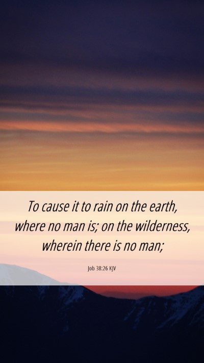 Picture 06 - Job 38:26 KJV Mobile Phone Wallpaper - To cause it to rain on the earth, where no man - Mobile Bible Verse Wallpaper