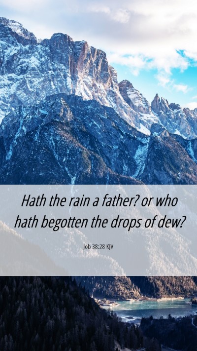 Picture 06 - Job 38:28 KJV Mobile Phone Wallpaper - Hath the rain a father? or who hath begotten the - Mobile Bible Verse Wallpaper