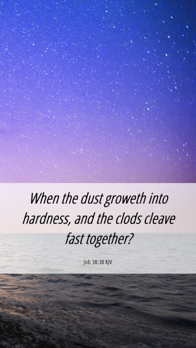 Picture 06 - Job 38:38 KJV Mobile Phone Wallpaper - When the dust groweth into hardness, and the - Mobile Bible Verse Wallpaper
