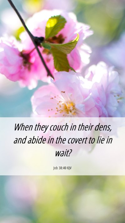 Picture 06 - Job 38:40 KJV Mobile Phone Wallpaper - When they couch in their dens, and abide in the - Mobile Bible Verse Wallpaper