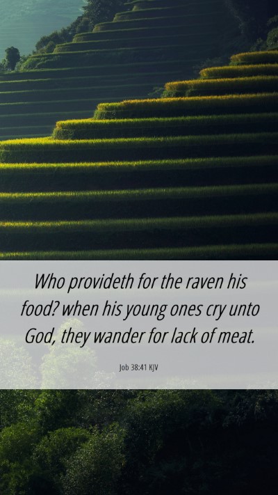Picture 06 - Job 38:41 KJV Mobile Phone Wallpaper - Who provideth for the raven his food? when his - Mobile Bible Verse Wallpaper