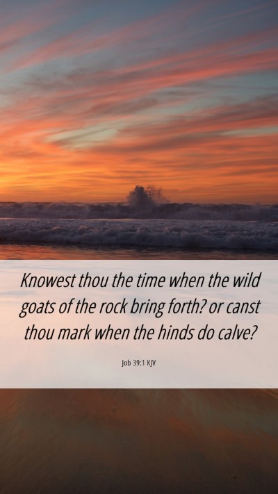 Picture 06 - Job 39:1 KJV Mobile Phone Wallpaper - Knowest thou the time when the wild goats of the - Mobile Bible Verse Wallpaper