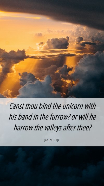 Picture 06 - Job 39:10 KJV Mobile Phone Wallpaper - Canst thou bind the unicorn with his band in the - Mobile Bible Verse Wallpaper