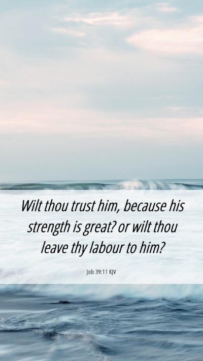 Picture 06 - Job 39:11 KJV Mobile Phone Wallpaper - Wilt thou trust him, because his strength is - Mobile Bible Verse Wallpaper
