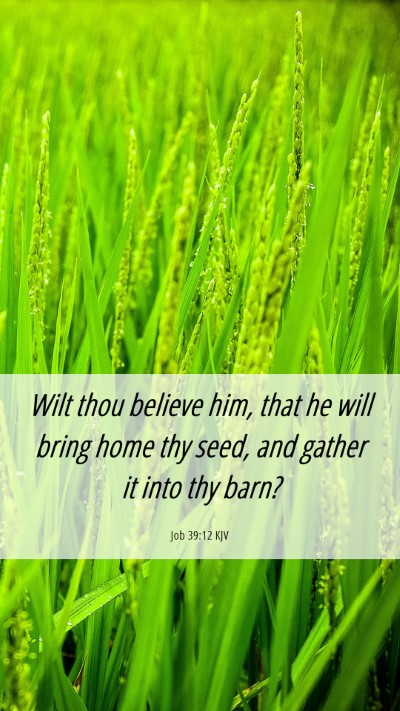 Picture 06 - Job 39:12 KJV Mobile Phone Wallpaper - Wilt thou believe him, that he will bring home - Mobile Bible Verse Wallpaper