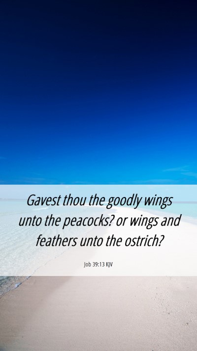 Picture 06 - Job 39:13 KJV Mobile Phone Wallpaper - Gavest thou the goodly wings unto the peacocks? - Mobile Bible Verse Wallpaper