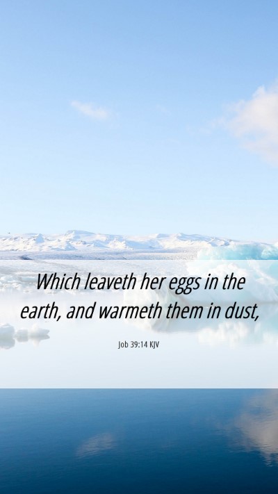 Picture 06 - Job 39:14 KJV Mobile Phone Wallpaper - Which leaveth her eggs in the earth, and warmeth - Mobile Bible Verse Wallpaper