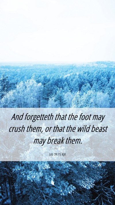 Picture 06 - Job 39:15 KJV Mobile Phone Wallpaper - And forgetteth that the foot may crush them, or - Mobile Bible Verse Wallpaper