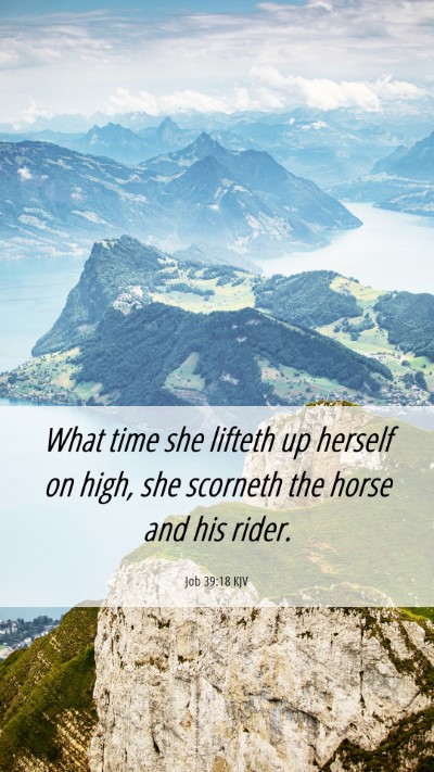 Picture 06 - Job 39:18 KJV Mobile Phone Wallpaper - What time she lifteth up herself on high, she - Mobile Bible Verse Wallpaper