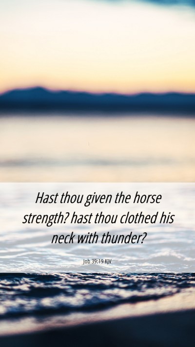 Picture 06 - Job 39:19 KJV Mobile Phone Wallpaper - Hast thou given the horse strength? hast thou - Mobile Bible Verse Wallpaper