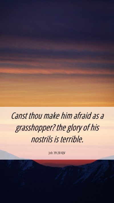 Picture 06 - Job 39:20 KJV Mobile Phone Wallpaper - Canst thou make him afraid as a grasshopper? the - Mobile Bible Verse Wallpaper