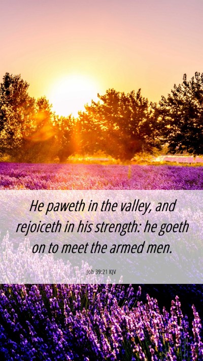 Picture 06 - Job 39:21 KJV Mobile Phone Wallpaper - He paweth in the valley, and rejoiceth in his - Mobile Bible Verse Wallpaper
