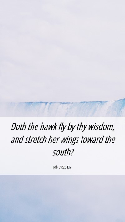 Picture 06 - Job 39:26 KJV Mobile Phone Wallpaper - Doth the hawk fly by thy wisdom, and stretch her - Mobile Bible Verse Wallpaper