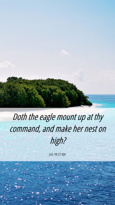 Picture 06 - Job 39:27 KJV Mobile Phone Wallpaper - Doth the eagle mount up at thy command, and make - Mobile Bible Verse Wallpaper