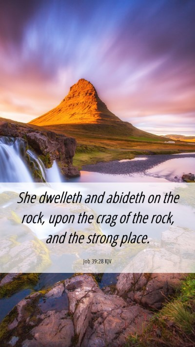 Picture 06 - Job 39:28 KJV Mobile Phone Wallpaper - She dwelleth and abideth on the rock, upon the - Mobile Bible Verse Wallpaper