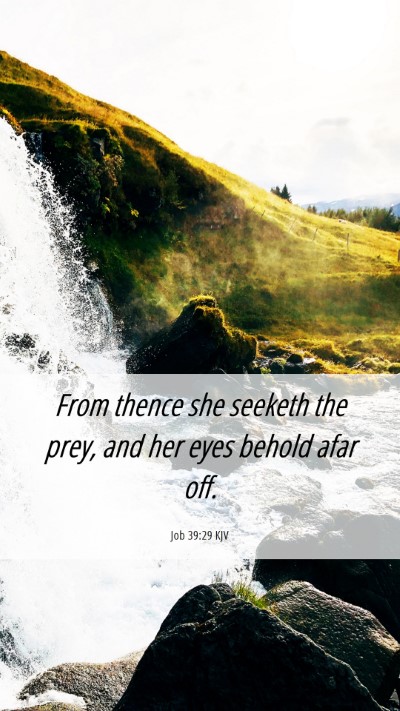 Picture 06 - Job 39:29 KJV Mobile Phone Wallpaper - From thence she seeketh the prey, and her eyes - Mobile Bible Verse Wallpaper