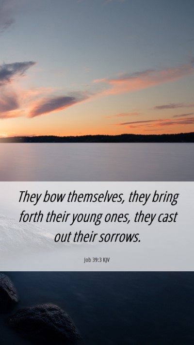 Picture 06 - Job 39:3 KJV Mobile Phone Wallpaper - They bow themselves, they bring forth their young - Mobile Bible Verse Wallpaper