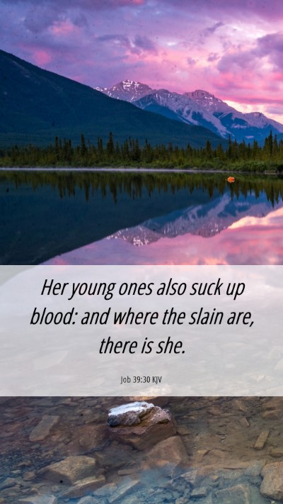 Picture 06 - Job 39:30 KJV Mobile Phone Wallpaper - Her young ones also suck up blood: and where the - Mobile Bible Verse Wallpaper